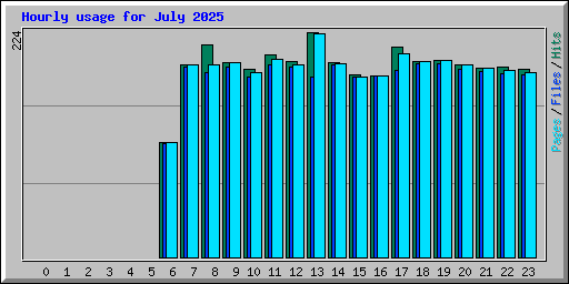 Hourly usage for July 2025