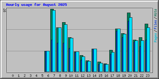 Hourly usage for August 2025