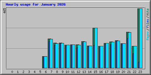Hourly usage for January 2026